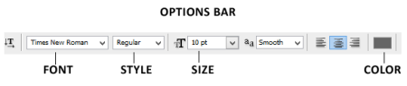 Atur parameter teks di Options Bar
